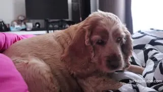 Ecem Kemer Youtube Katıl ifşa – Mini ev vlog | bir günde neler yiyorum 🥦günlük ev işleri🧽 antep fıstıklı latte ☕️